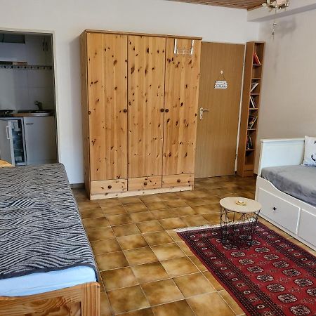 Apartment Betzenberg, Nur Netflix Kaiserslautern Exterior foto